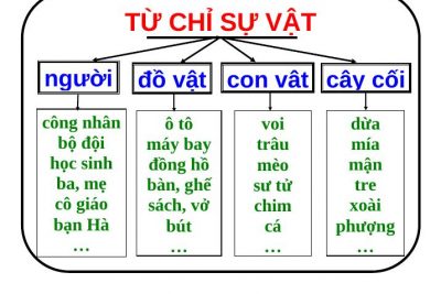 Sơ đồ tư duy từ chỉ sự vật lớp 2